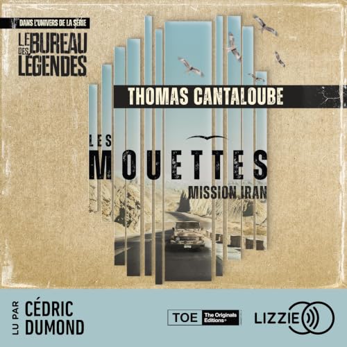 Couverture du livre audio Les Mouettes - Mission Iran